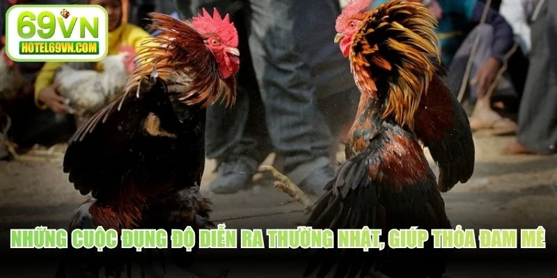 Những cuộc đụng độ diễn ra thường nhật, giúp cược thủ thỏa đam mê