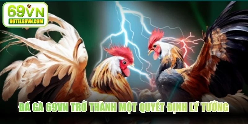Đá gà 69VN trở thành một quyết định lý tưởng đối với các tín đồ