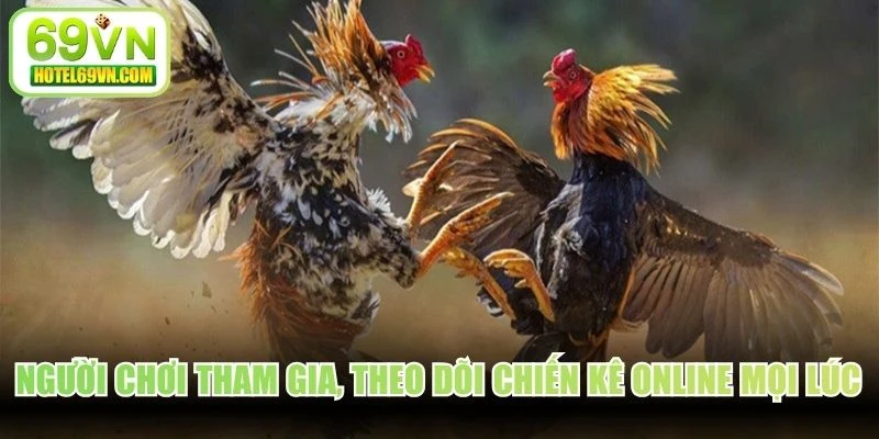 Người chơi tham gia, theo dõi chiến kê online mọi lúc, mọi nơi